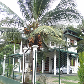 A Brand New Home constructed by one of Reliable House Builders in Kandy Sri lanka. 0702 222111