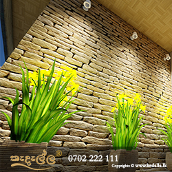 The purpose of a septic tank is to retain sewage so that it is given time to be liquefied by the action of Anaerobic Bacteria